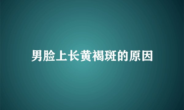 男脸上长黄褐斑的原因