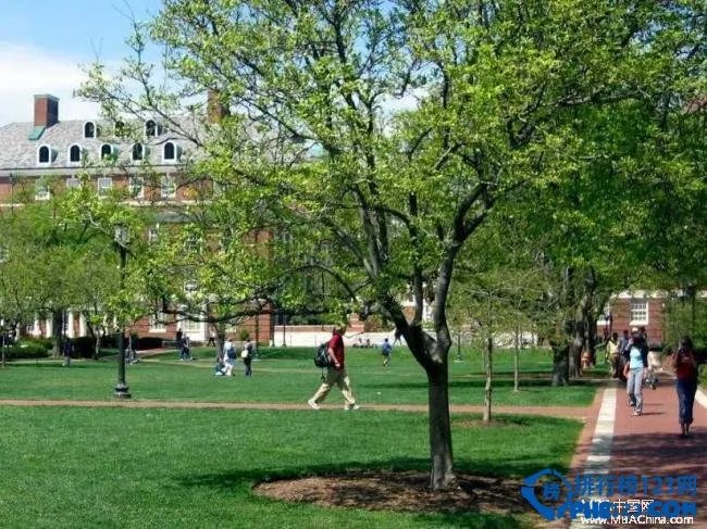 2015世界排名前20的大学排行榜