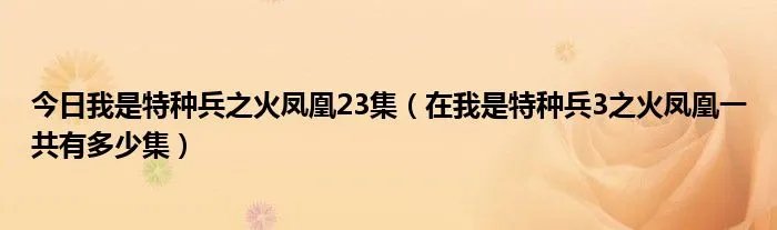 今日我是特种兵之火凤凰23集（在我是特种兵3之火凤凰一共有多少集）