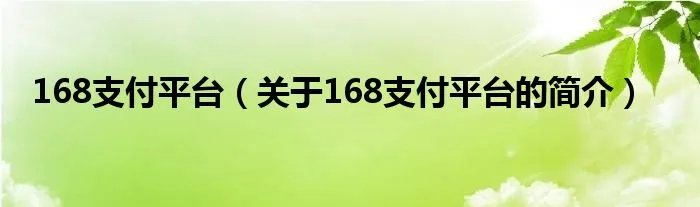 168支付平台（关于168支付平台的简介）