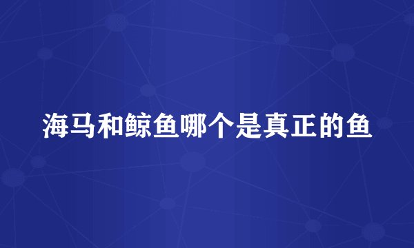 海马和鲸鱼哪个是真正的鱼