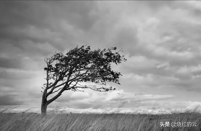 如果有老师向家长借钱的，如果遇到改怎么处理？