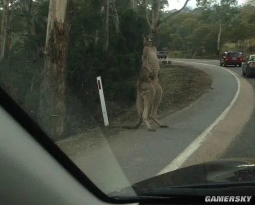 终于有老婆过七夕了 思考人生囧图