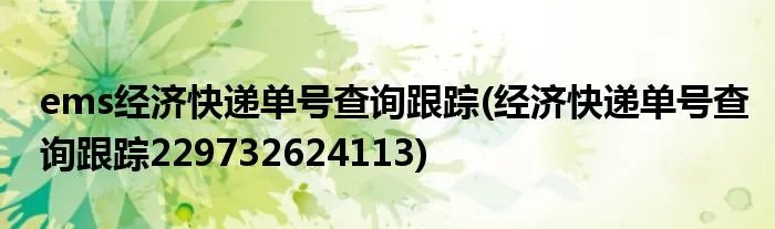 ems经济快递单号查询跟踪(经济快递单号查询跟踪229732624113)