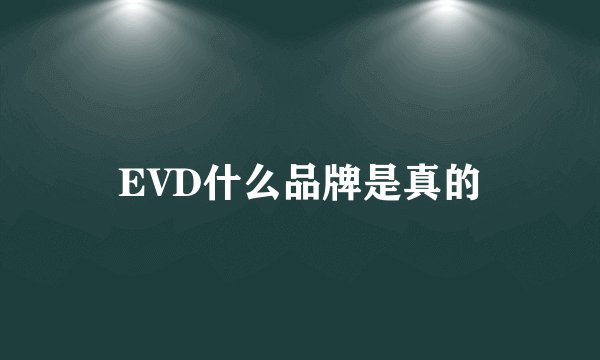 EVD什么品牌是真的