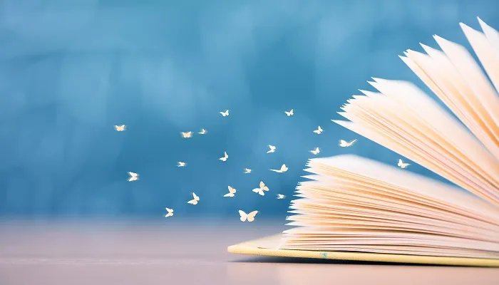 什么是白皮本书 什么是指白皮本书