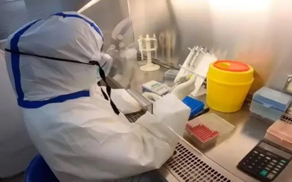 南京毛老太会判几年呢?为什么?