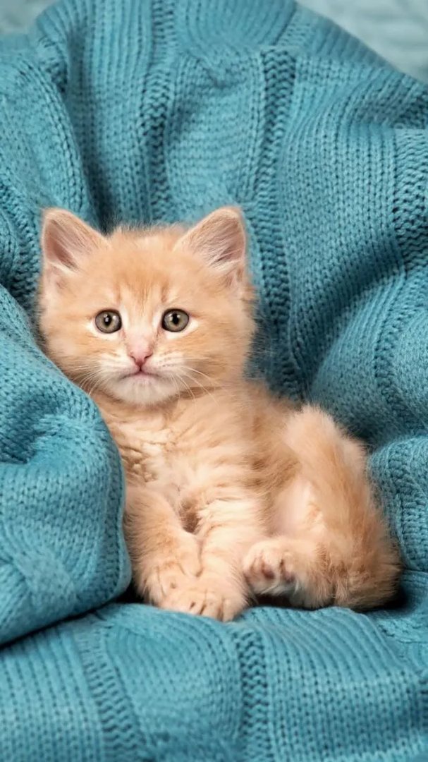 大家觉得日本电视剧《等你说爱我》怎么样?