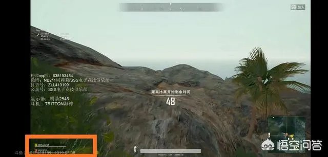 nb211现在在哪个队