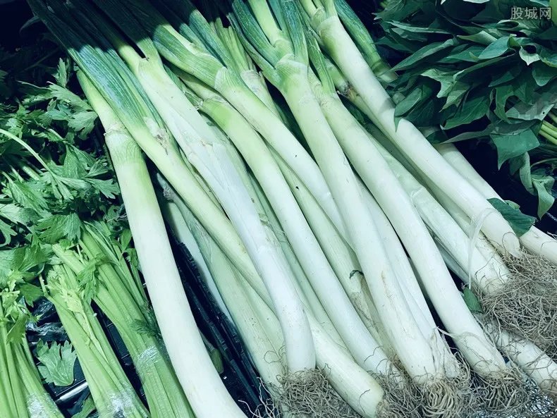 韩国大葱涨至43元一公斤 价格那么贵的原因是什么