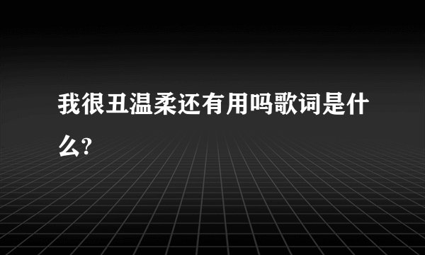 我很丑温柔还有用吗歌词是什么?
