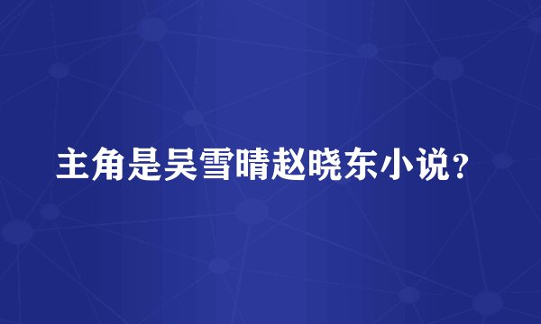 主角是吴雪晴赵晓东小说？