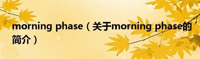 morning phase（关于morning phase的简介）