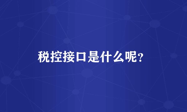 税控接口是什么呢？