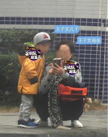王子文老公刘丰源个人资料 王子文为什么离婚