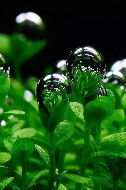 宾利加了95号汽油，会有什么后果？