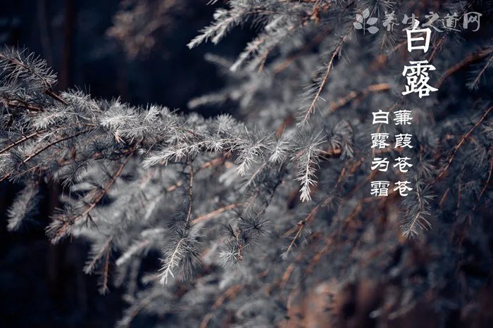 埃菲尔铁塔遭雷击  夏季怎样防雷电