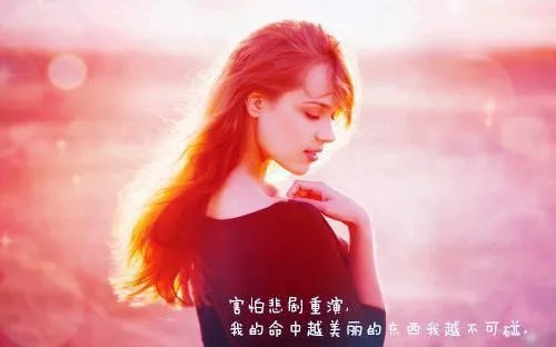 飞行员秦风脉冲发动机的小说免费阅读