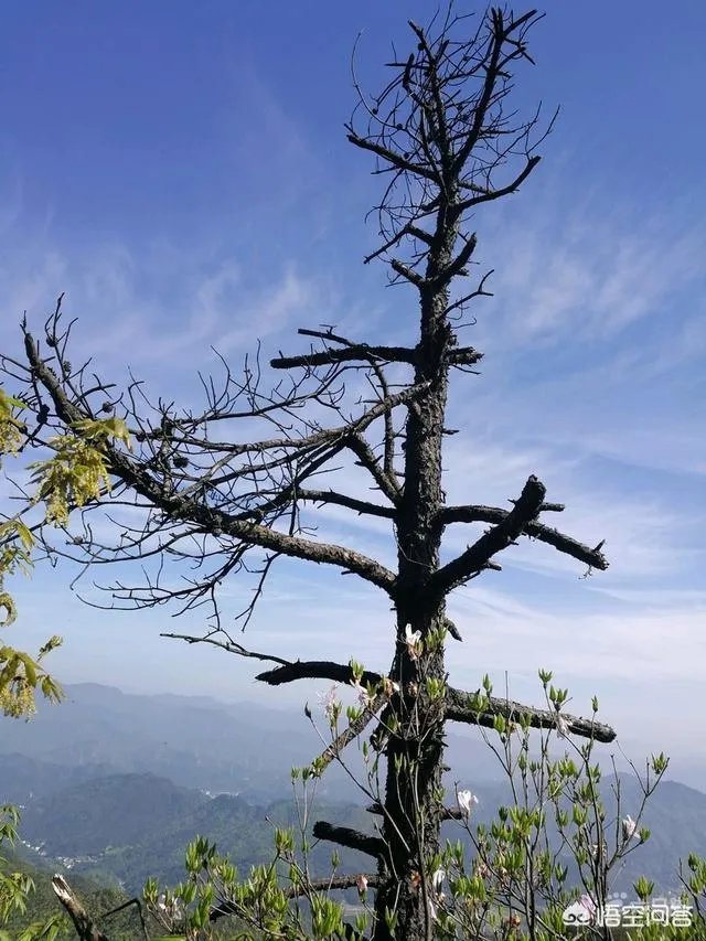 上海出发，二日游乘动车到哪里比较适合？