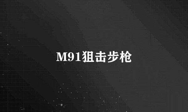 M91狙击步枪