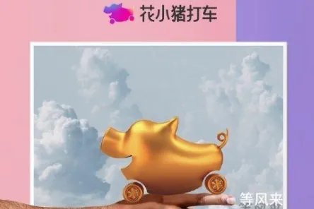 花小猪打车遭多地叫停？