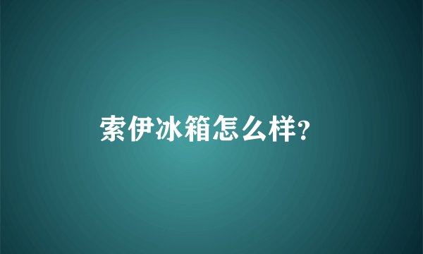 索伊冰箱怎么样？