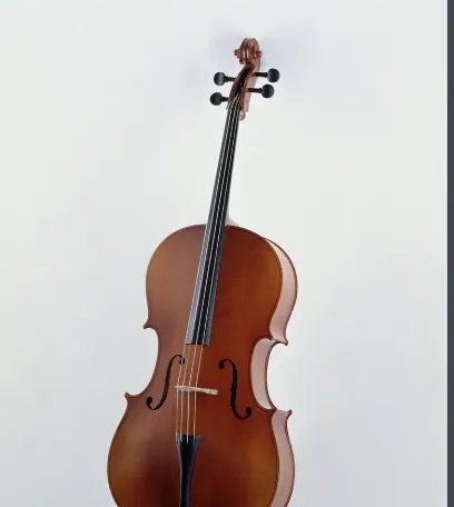 大提琴有几根弦?