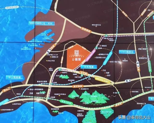 坐标青岛，首付100万内，靠地铁口，环境绿化好一点，主要考虑市南市北李沧，新房二手房都可，有推荐的吗？