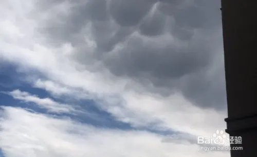 北京现乳状云，乳状云是什么？