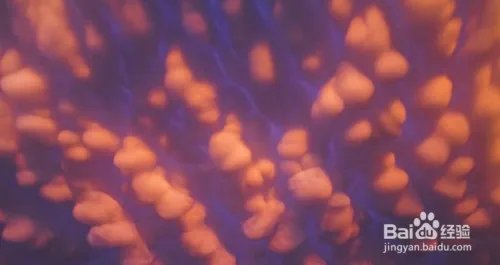 北京现乳状云，乳状云是什么？