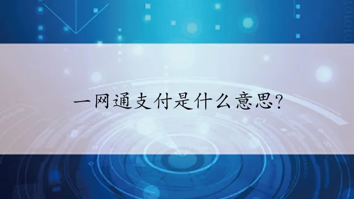 一网通支付是什么意思？