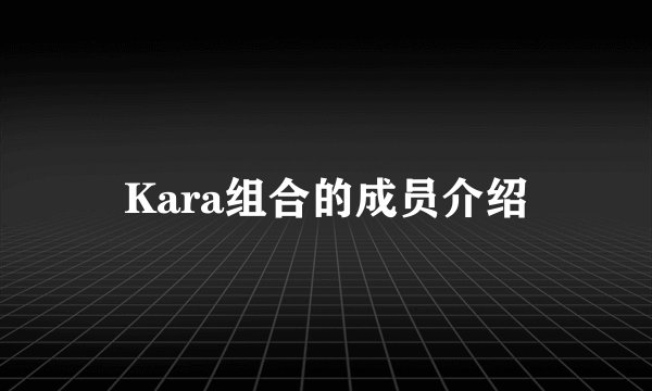 Kara组合的成员介绍