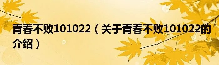青春不败101022（关于青春不败101022的介绍）