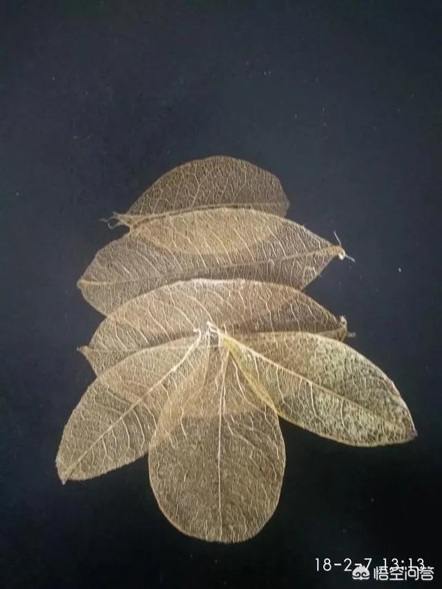 情侣违规攀登四姑娘山遇险，频频发生的”驴友冒险”行为你们怎么看？