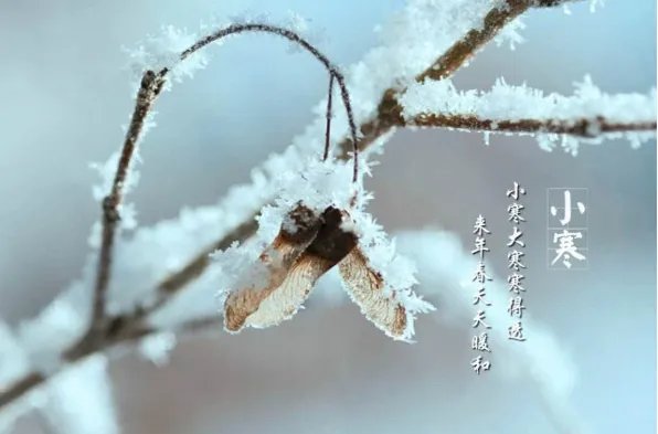 二十四节气图一套 美得令人窒息的二十四节气图