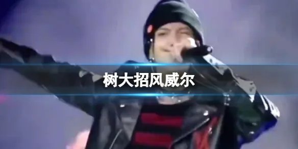 树大招风威尔 树大招风完整版威尔