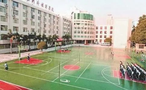 多姿多彩的校园生活作文