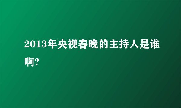 2013年央视春晚的主持人是谁啊?