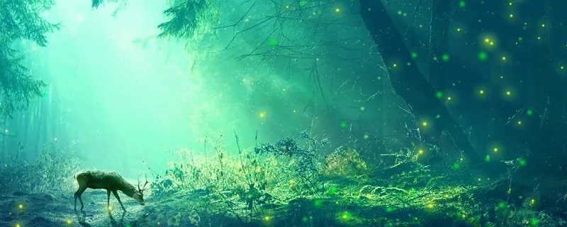 哪种生物的生命力更强