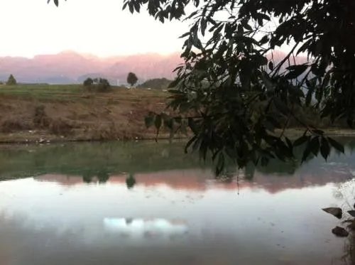 扯雀塘为什么有毒 在什么地方解密