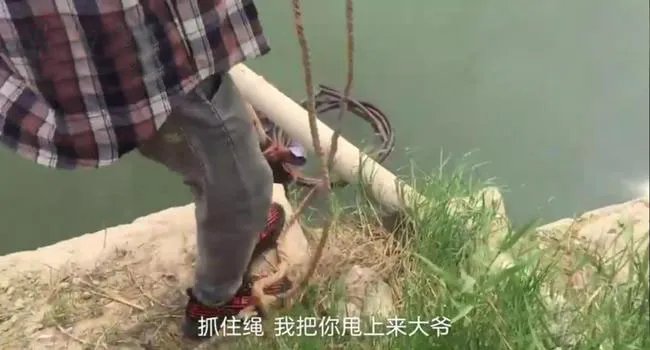 关于13岁少年智救80岁落水老人一事，你有何看法？