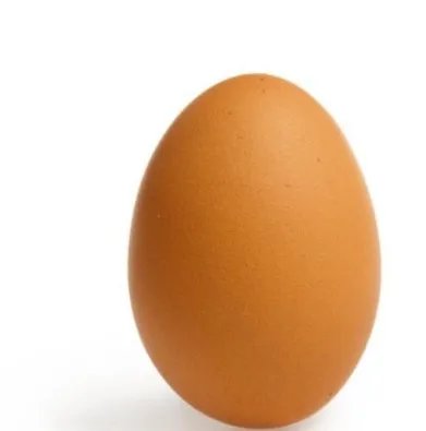 找两个相似的鸡蛋，将其中一个煮熟，用同样的方法分别使它们在桌上旋转，那个转的时间久？那个转的次数多