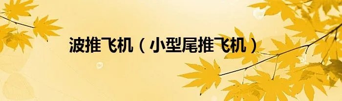 波推飞机（小型尾推飞机）