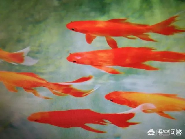 90后女孩当上知名高校副院长,你怎么看?