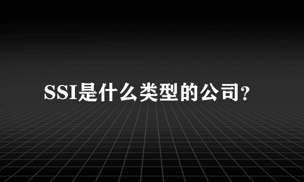 SSI是什么类型的公司？