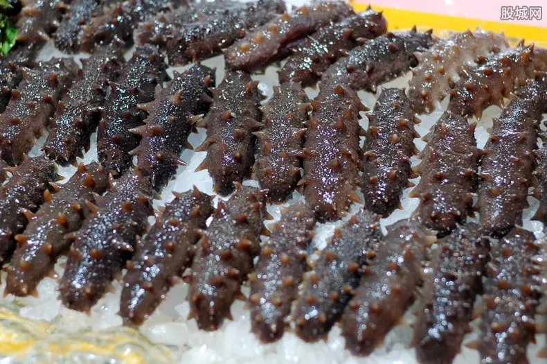 山东即墨查处问题海参 被央视点名后迅速采取行动