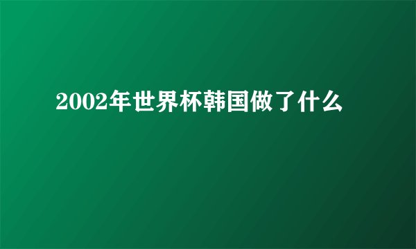2002年世界杯韩国做了什么