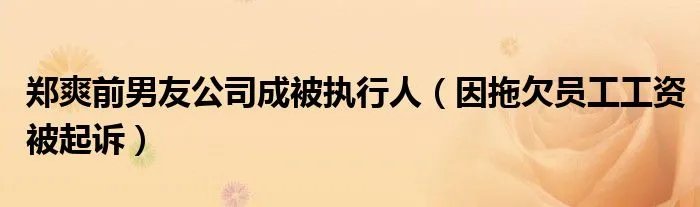 郑爽前男友公司成被执行人（因拖欠员工工资被起诉）