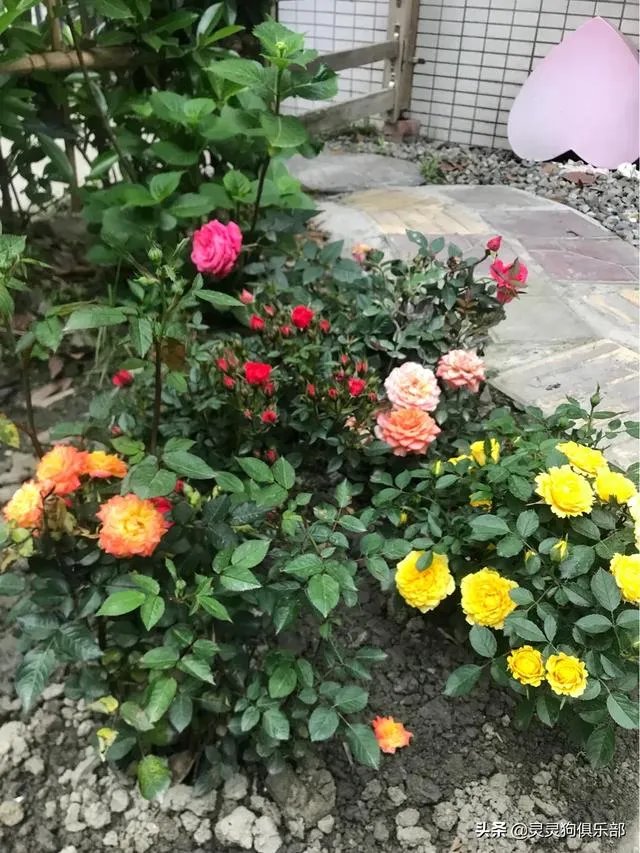 成都市郫都区三道堰小产权房可以买吗？