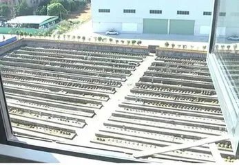 收楼发现是墓景房，消费者应如何维权？